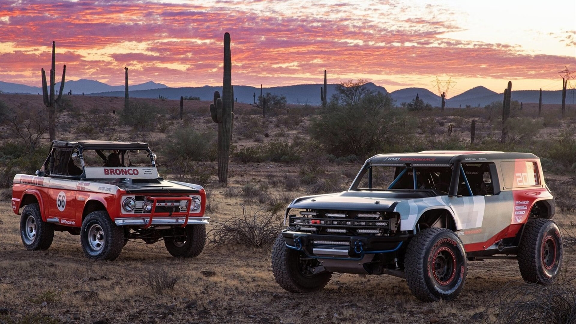 开云体育在线入口-_森林狼携手向前，冲刺季后赛_，0304森林狼