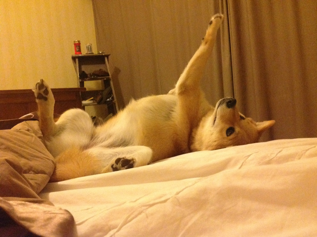 开云中国大陆-全国篮球场馆建设速度加快，助力赛事发展，中国篮球馆场