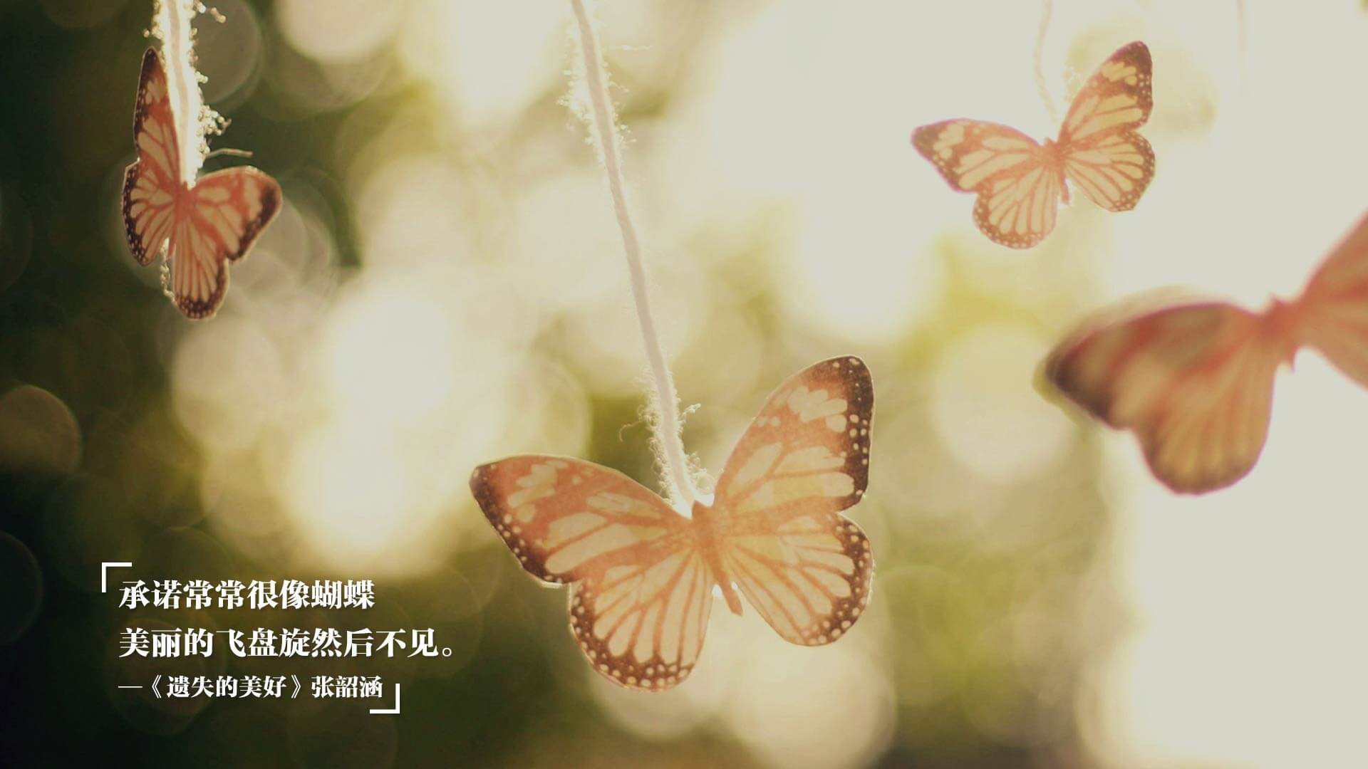 开云电子-卡洛斯·阿尔卡拉斯在温网夺冠，卡洛斯阿尔卡拉兹